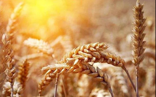 驚呆了?。?！白酒還有這些內(nèi)幕！？