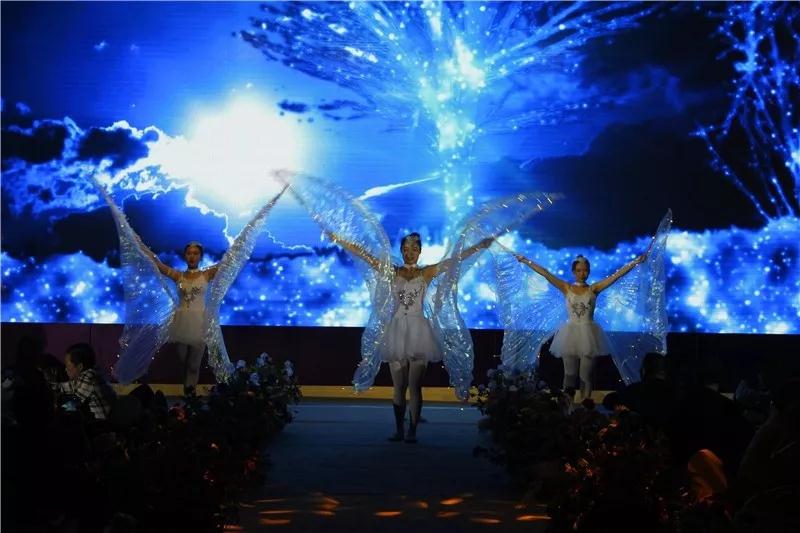 淮安 || 熱烈祝賀2019年江蘇增力客戶答謝會(huì)圓滿結(jié)束！(圖14)