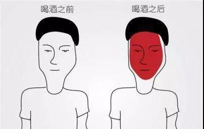喝酒臉紅的人酒量大？喝酒的人必看！(圖2)
