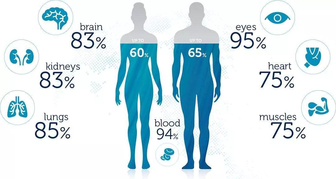 喝酒臉紅的人酒量大？喝酒的人必看！(圖4)
